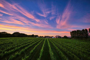 Гостиница Llanerch Vineyard Hotel  Понтиклан
